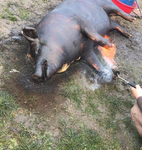 WhatsApp Image 2022-08-14 at 15.59.02